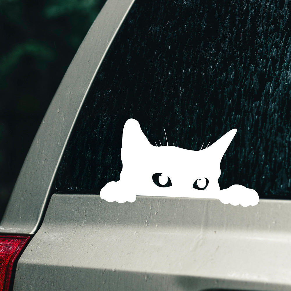 Cat car decal