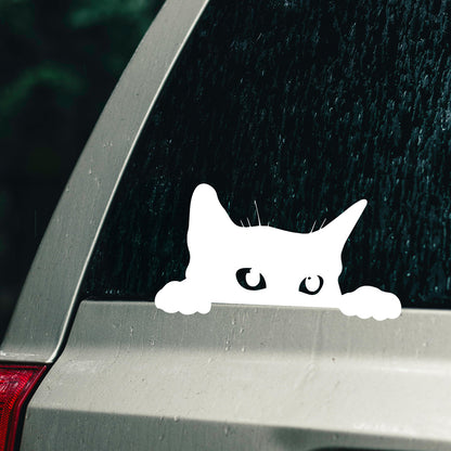 Cat car decal