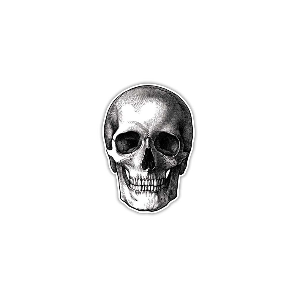 Skull Sticker